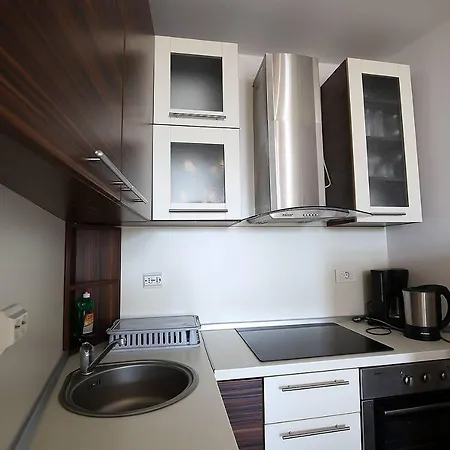 Apartment Stadthaus Briski